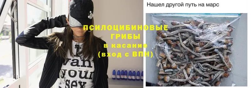 shop состав  Выборг  Псилоцибиновые грибы Psilocybine cubensis  где купить наркоту 